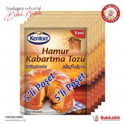 Kenton Kabartma Tozu 5 Adet 10 Gr