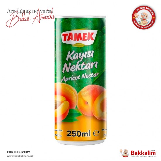 Tamek Apricot Drink Nectar 250 Ml