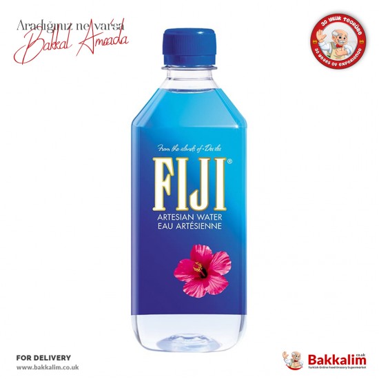 Fiji Artezyen Su 500 Ml