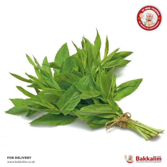 Daily 1 Bunch Fresh Mint - TIKLA GELSİN UK - £2.39