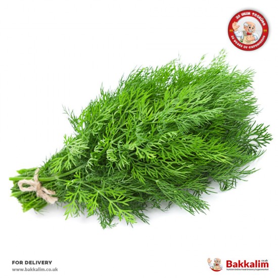 Daily Fresh 1 Bunch Dill Krebs - TIKLA GELSİN UK - £2.39