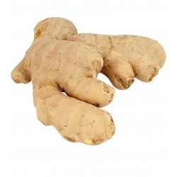 Ginger 500gr