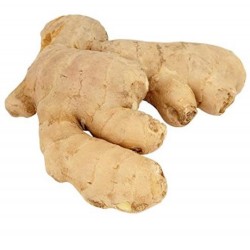 Ginger 500gr