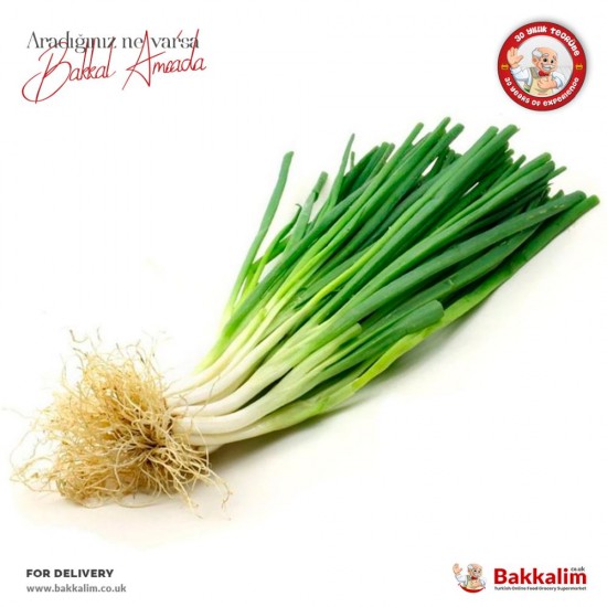 Spring Onions 1 Batch - TIKLA GELSİN UK - £1.89